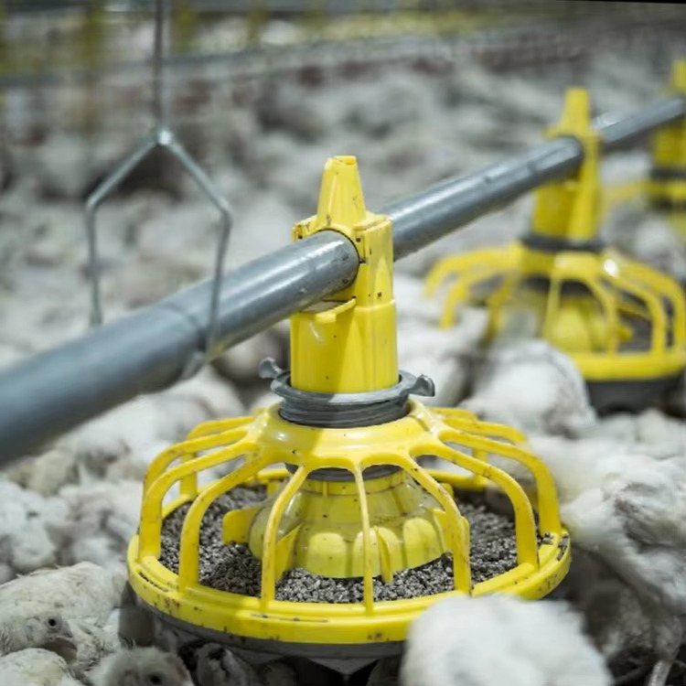 Farming Agriculture Equipment - Landbouwapparatuur voor kippen en pluimvee/apparatuur voor