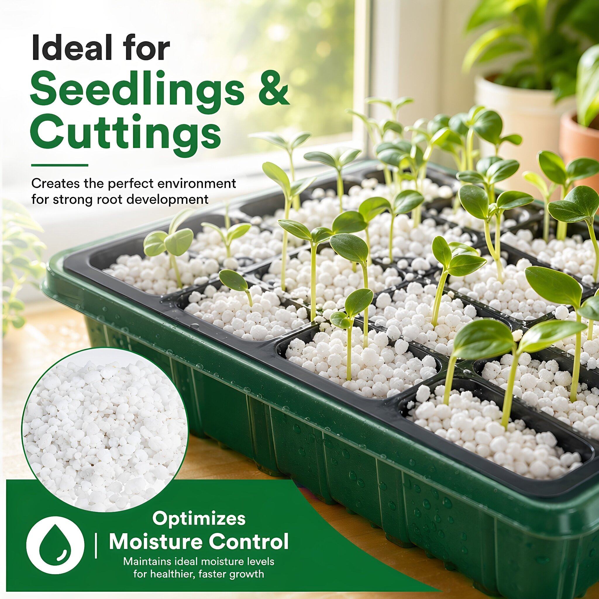 Tuinbouwperliet voor binnenpla - Horticulture Soil Perlite recensie en prijs