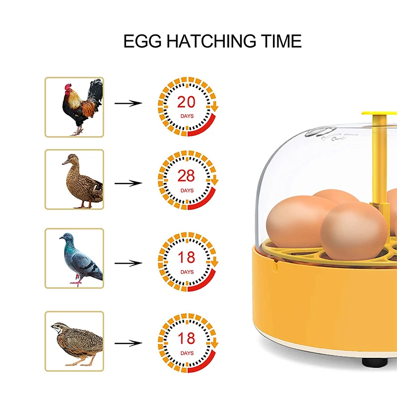 Broedmachine Kip Eend Gans 6 E - Poultry Incubator recensie en prijs