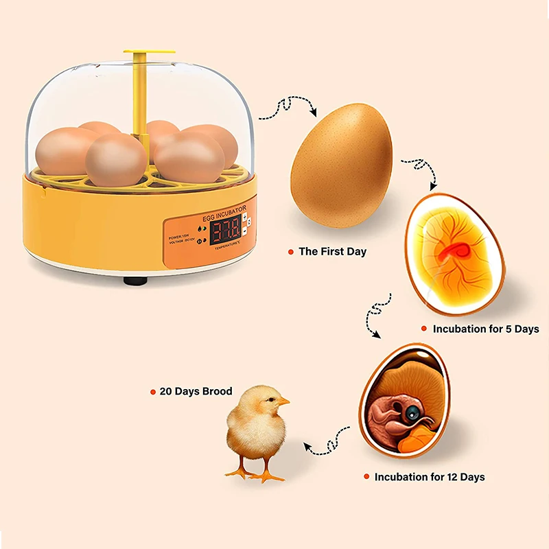 Broedmachine Kip Eend Gans 6 E - Poultry Incubator recensie en prijs