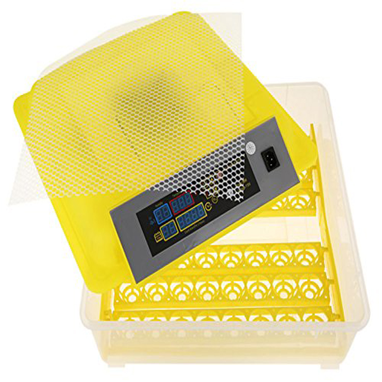 Volledig Automatische Kippeieb - Poultry Incubator recensie en prijs