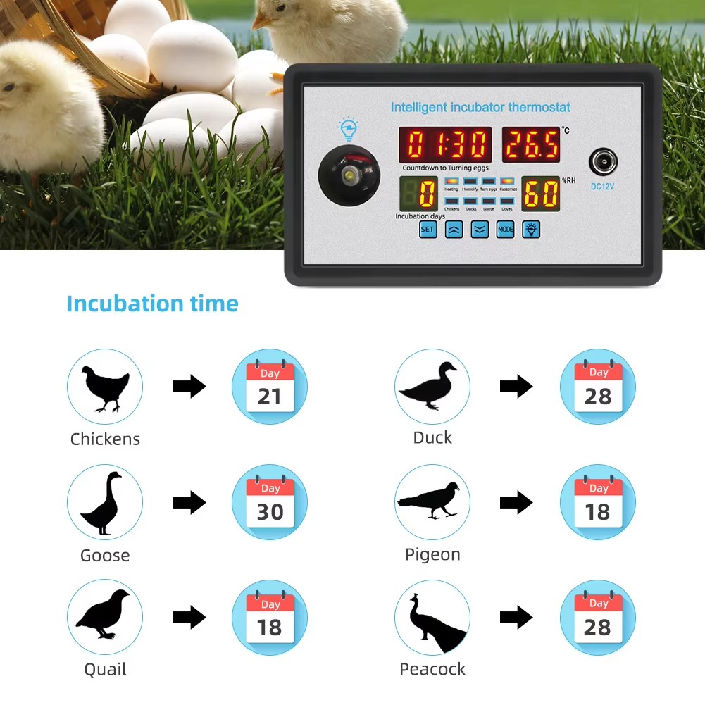 ZFX-W9002 12 V/220 V Ei Incuba - Poultry Incubator recensie en prijs