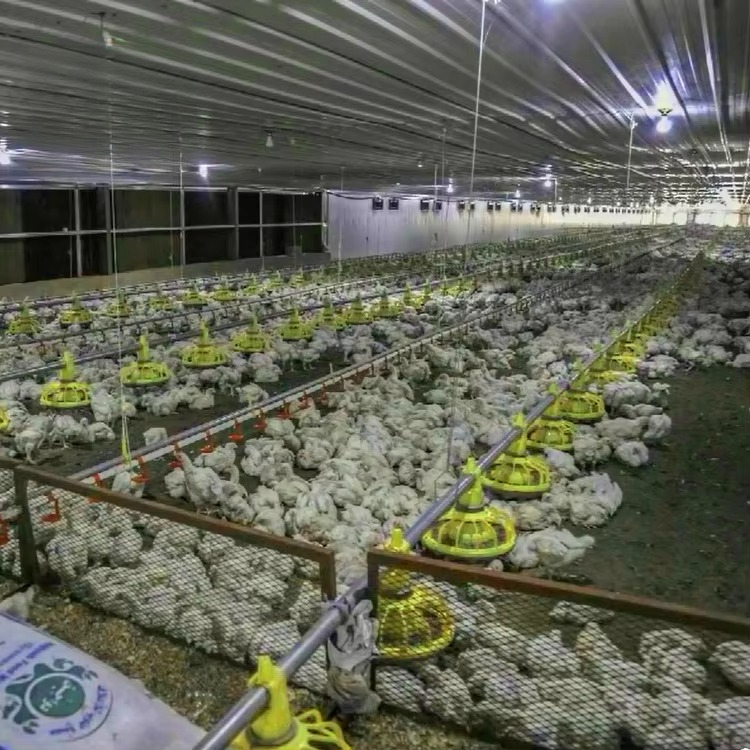 Landbouwapparatuur voor kippen - Farming Agriculture Equipment recensie en prijs