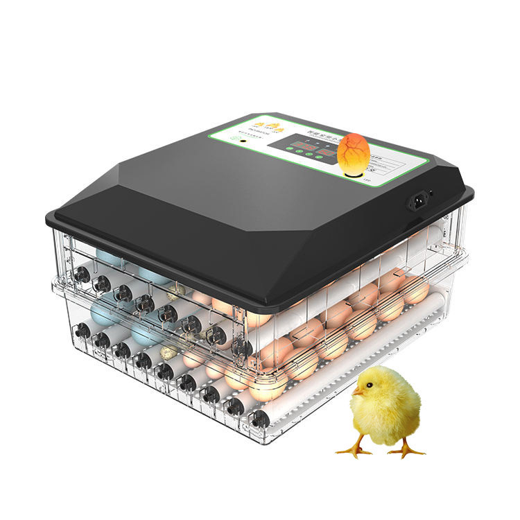 Breed toegepaste automatische  - Poultry Incubator recensie en prijs