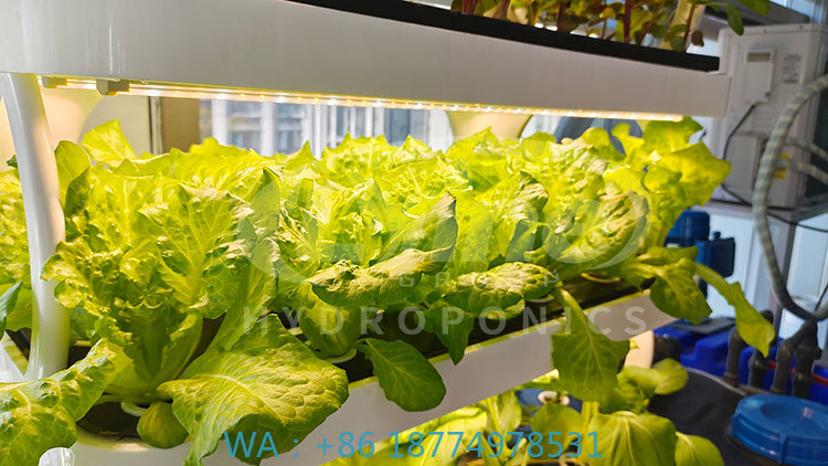 c Landbouwmachine voor het kwe - Farming Agriculture Equipment recensie en prijs