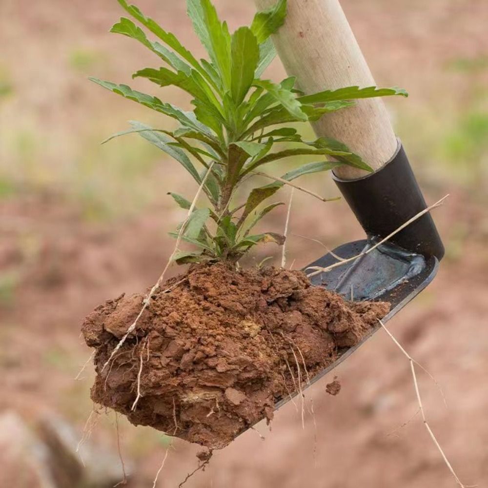 Verdikte Multifunctionele Tuin - Farming Agriculture Tools recensie en prijs