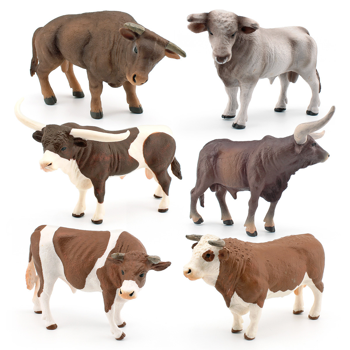 Zwitsers bruin rundvee, gesimu - Farming Agriculture Stocks recensie en prijs