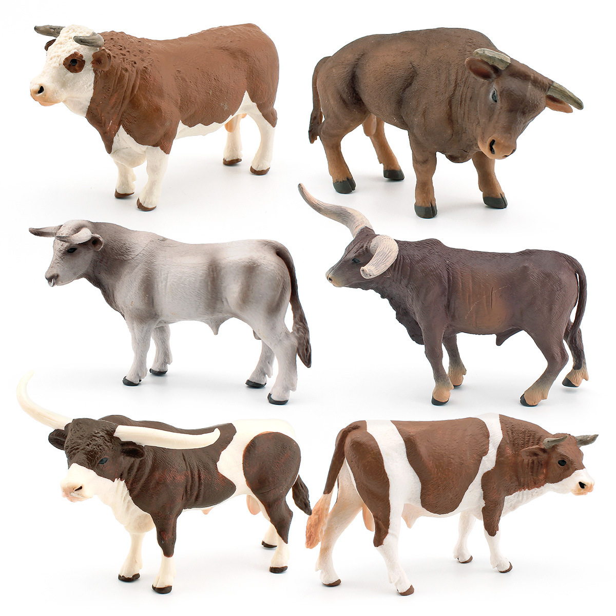 Zwitsers bruin rundvee, gesimu - Farming Agriculture Stocks recensie en prijs