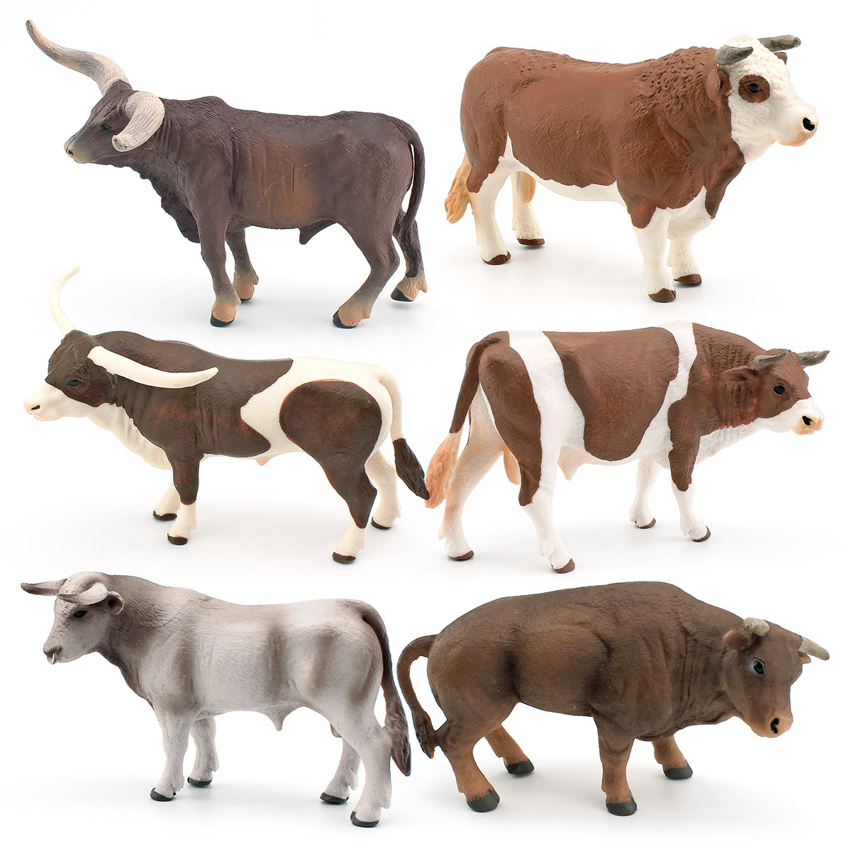 Zwitsers bruin rundvee, gesimu - Farming Agriculture Stocks recensie en prijs