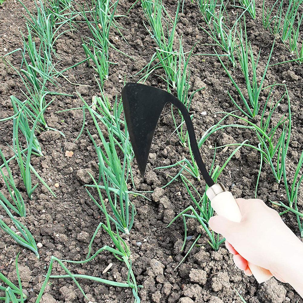 Landbouwwerktuigen Hoes Drieho - Farming Agriculture Tools recensie en prijs