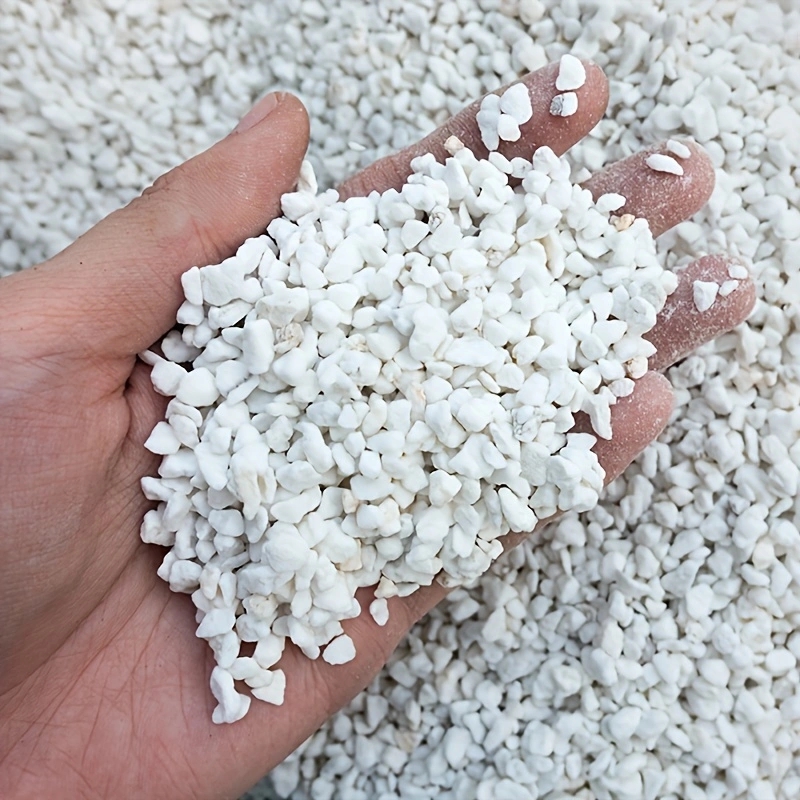 1 verpakking van 3-6 mm tuinbo - Horticulture Soil Perlite recensie en prijs